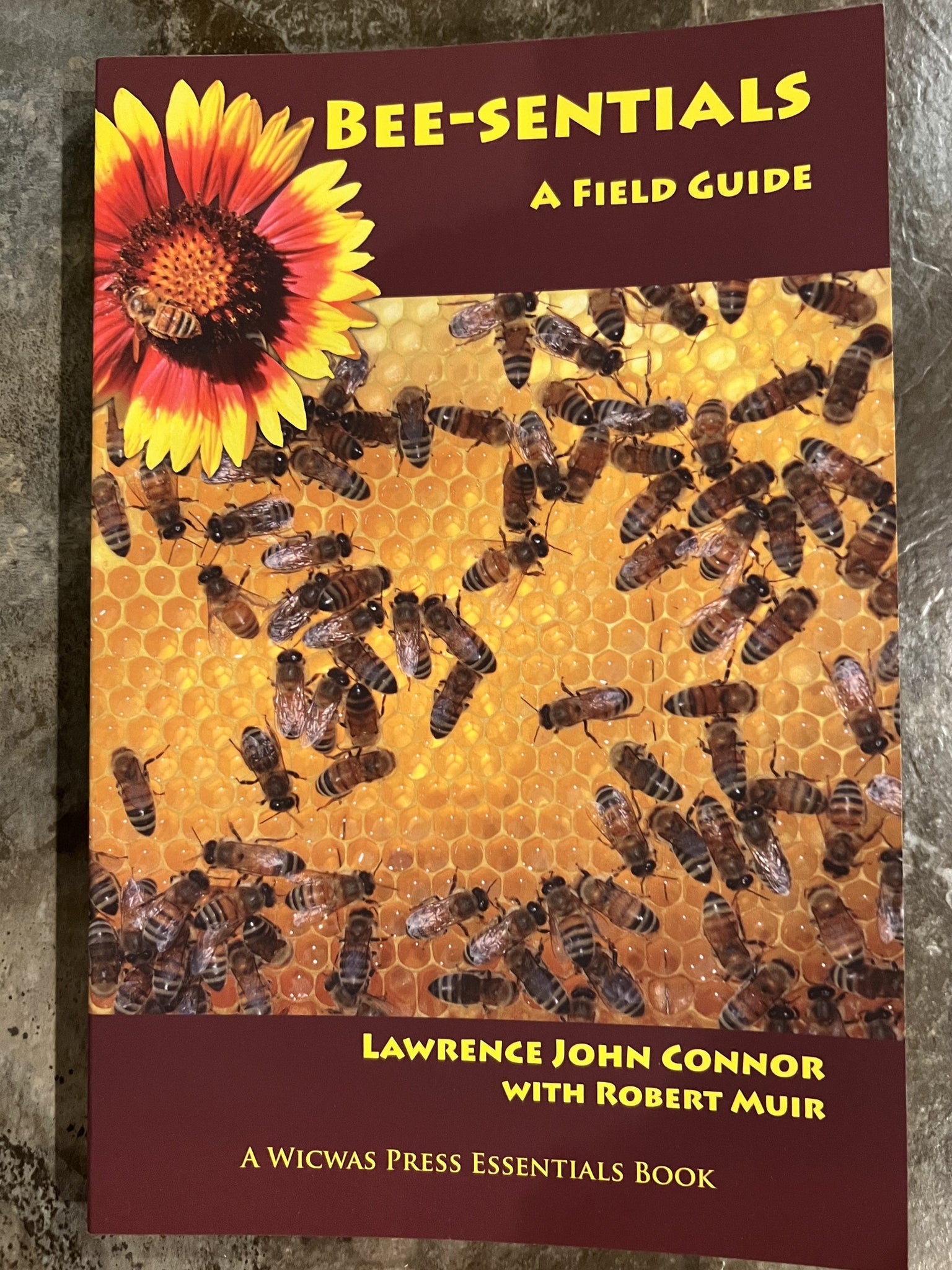 Beesentials A Field Guide book by Lawrence J. Connor